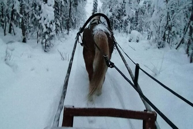 Magical Night Sleigh Ride Along Santas Paths - Overview and Booking Details