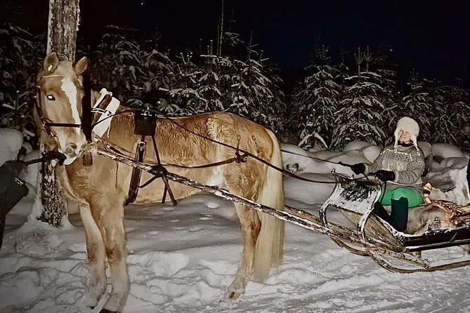 Magical Night Sleigh Ride Along Santas Paths - Inclusions and Accessibility