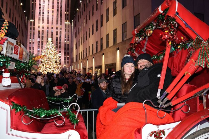 Magical NYC Christmas Lights Private Carriage Ride (4 Adults) - Inclusions