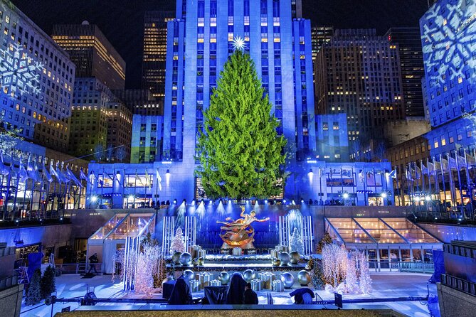 Magical NYC Christmas Lights Private Carriage Ride (4 Adults) - Meeting and Pickup