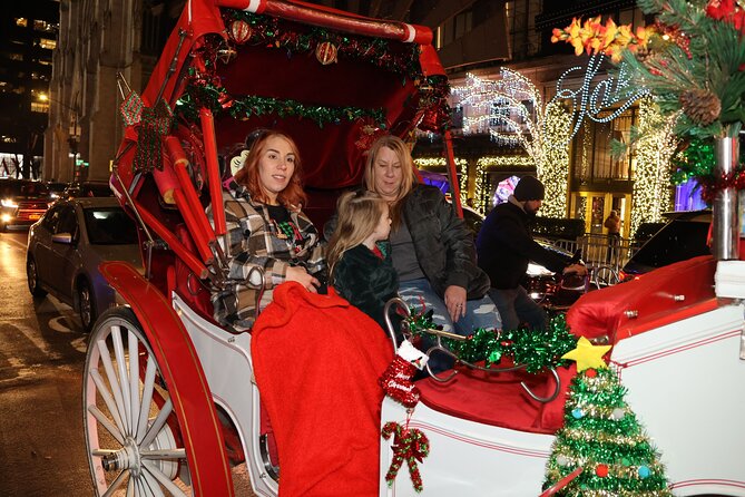 Magical NYC Christmas Lights Private Carriage Ride (4 Adults) - Central Park South Meeting Point