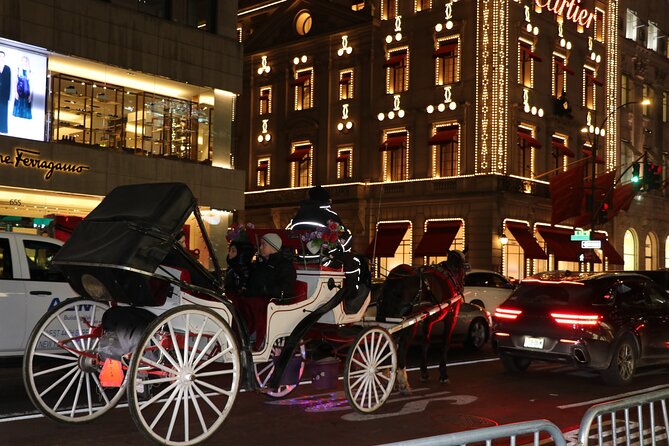 Magical NYC Christmas Lights Private Carriage Ride (4 Adults) - Maximum Capacity and Pricing