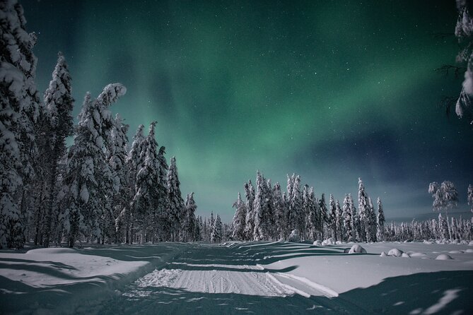 Magical Rovaniemi Evening Santa Village and Aurora Borealis - Tour Duration and Highlights