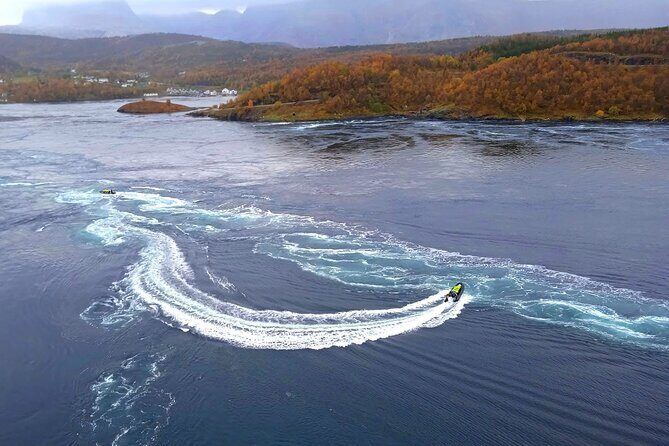 Magical Saltstraumen Tour - Good To Know