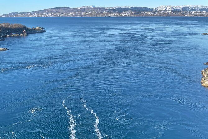 Magical Saltstraumen Tour - What Makes the Saltstraumen Tour Special?