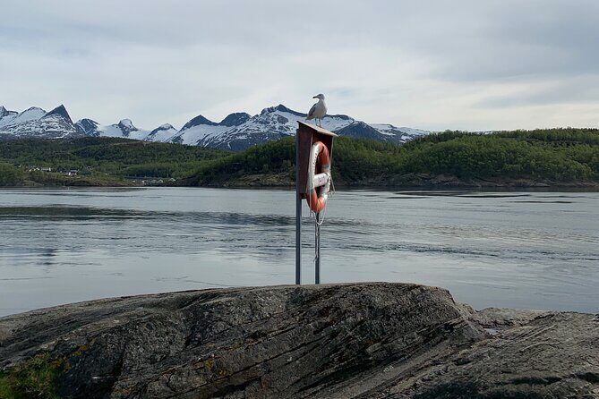 Magical Saltstraumen Tour - Practical Tips for Visitors