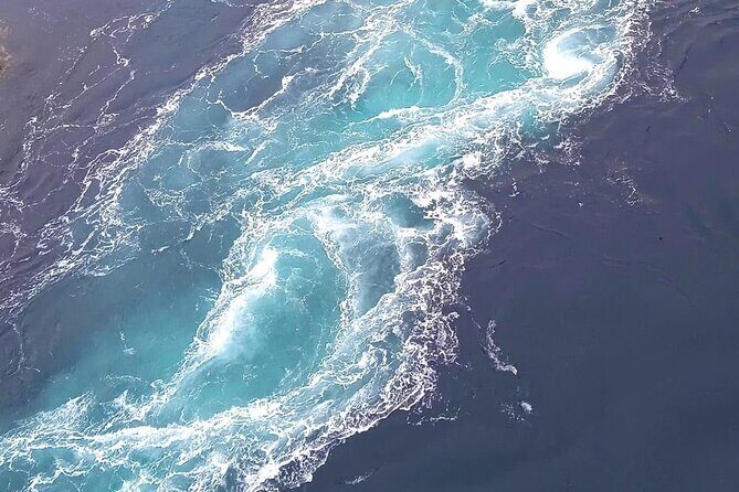 Magical Saltstraumen Tour - Authentic Experiences and Reviews