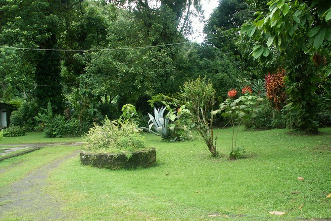 Magical Soufriere: A Tour of St Lucia - Tour Details and Experience