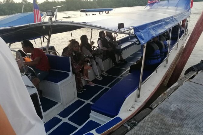 Magical Tour of Kuala Selangor Fireflies - Reviews