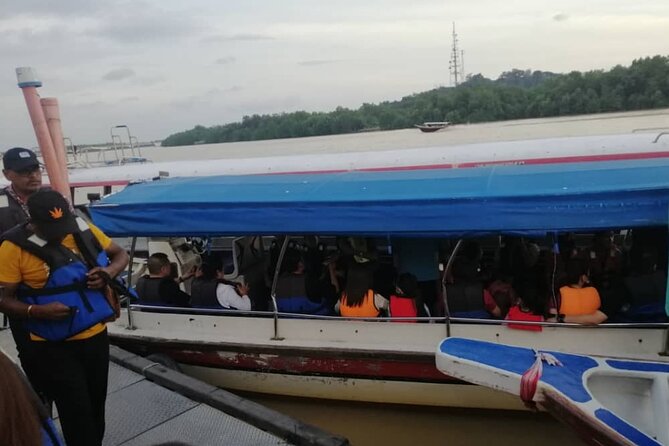 Magical Tour of Kuala Selangor Fireflies - Additional Information