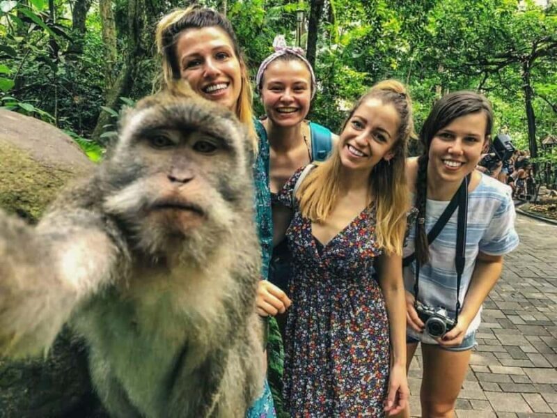 Magical Ubud: Temples, Rice Terraces & Waterfalls - Final Thoughts: Who Should Consider This Tour?