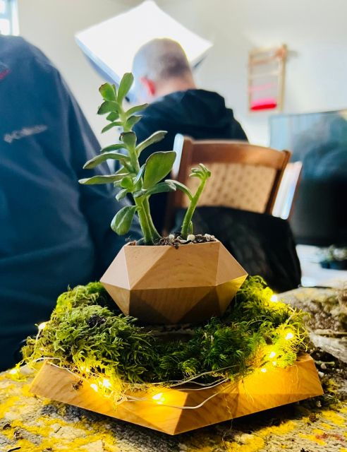 Magnetic Floating Terrarium Workshop - Workshop Overview