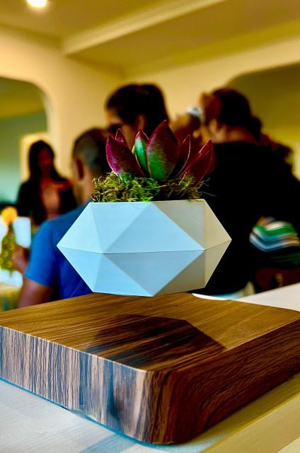 Magnetic Floating Terrarium Workshop - Craft Kit Inclusions
