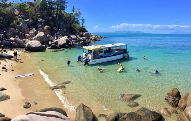 Magnetic Island: Snorkel Discovery Tour - Customer Reviews
