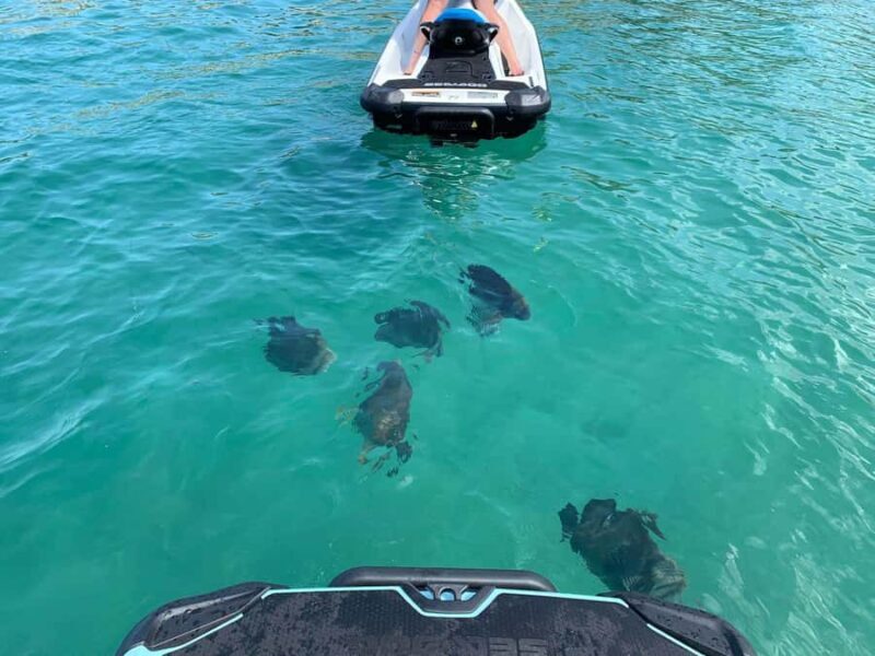 Magnetic Island Snorkel Jet Ski Tour - A Close Look at the Experience