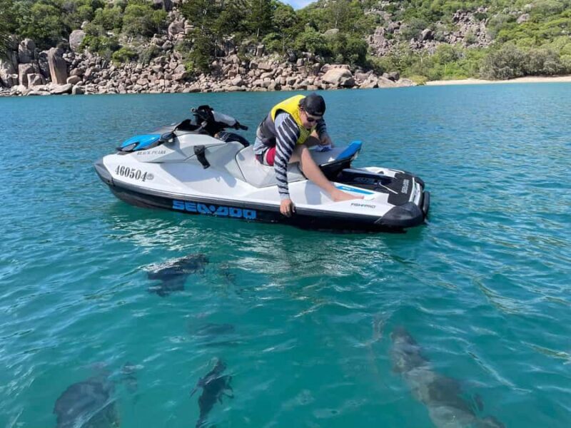 Magnetic Island Snorkel Jet Ski Tour - Pricing and Value