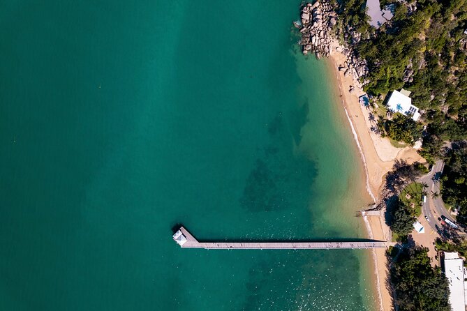 Magnetic Island Tour Behind the Scenes - Unveiling the Secrets of Magnetic Islands Wildlife