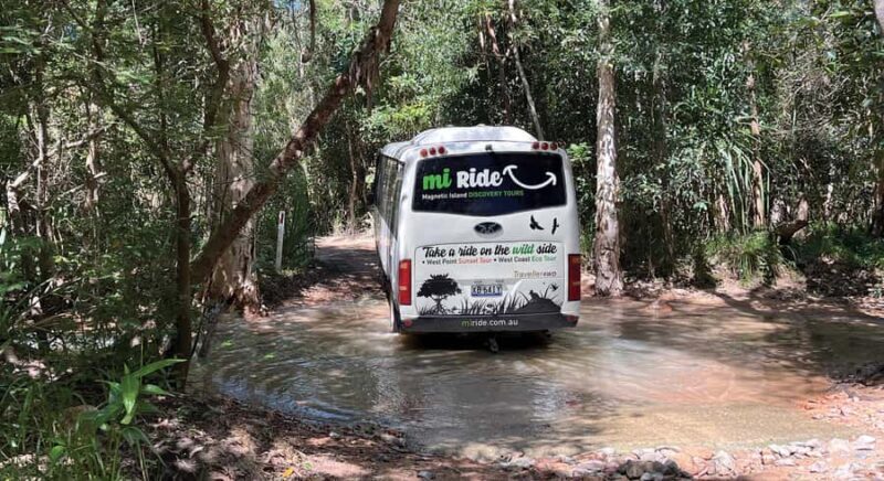Magnetic Island: West Coast Eco Adventure Bus Tour - Introduction to the Magnetic Island West Coast Eco Adventure