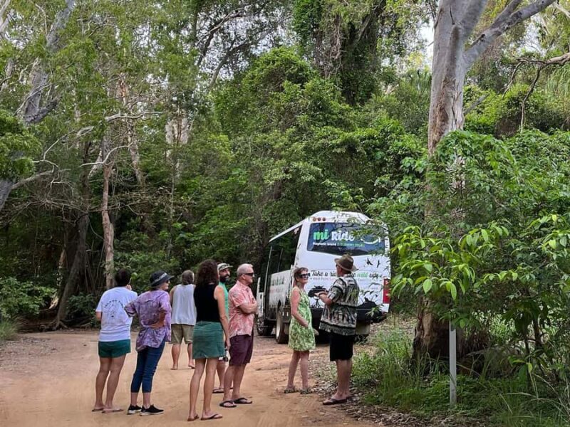 Magnetic Island: West Coast Eco Adventure Bus Tour - Transport and Comfort