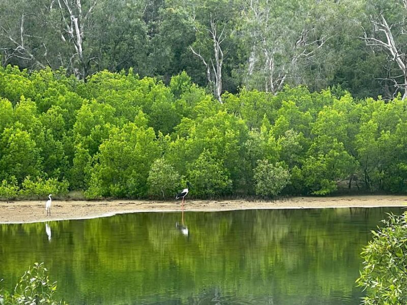 Magnetic Island: West Coast Eco Adventure Bus Tour - Wildlife and Scenic Highlights