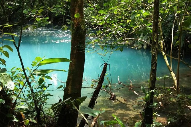 Magnificent Celeste River Tour: Unforgettable Costa Rica Experience - Traveler Reviews