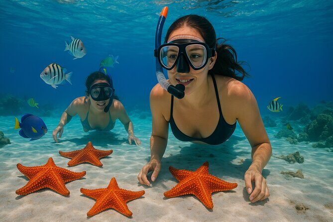 Magnificent Exploration to El Cielo Palancar and Columbia Reefs - Review of Magnificent Exploration to El Cielo, Palancar, and Columbia Reefs
