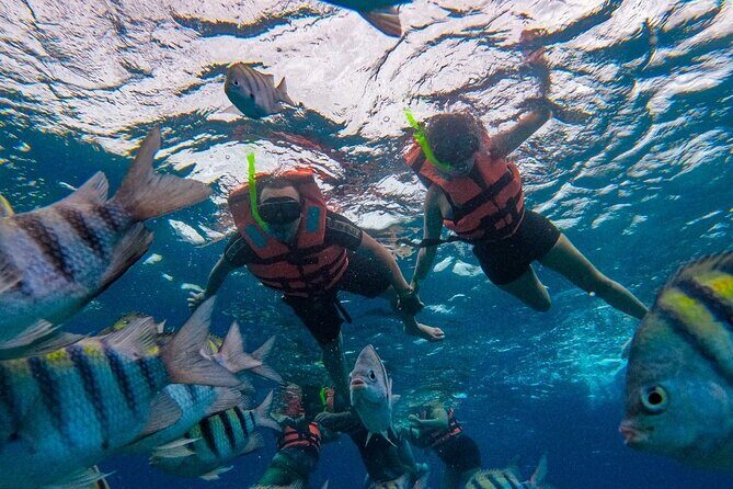 Magnificent Exploration to El Cielo Palancar and Columbia Reefs - Final Thoughts