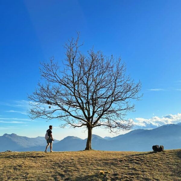 Magnificent Hiking Tours - Booking Information
