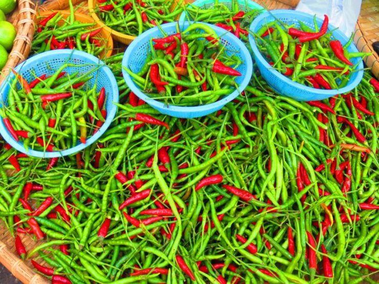 Mahachai & Maeklong Railway Market Day Tour From Bangkok - Activity Details