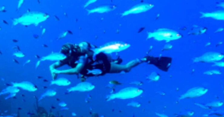 Mahahual: 1, 2 or 3 Tank Diving Experience - Activity Details