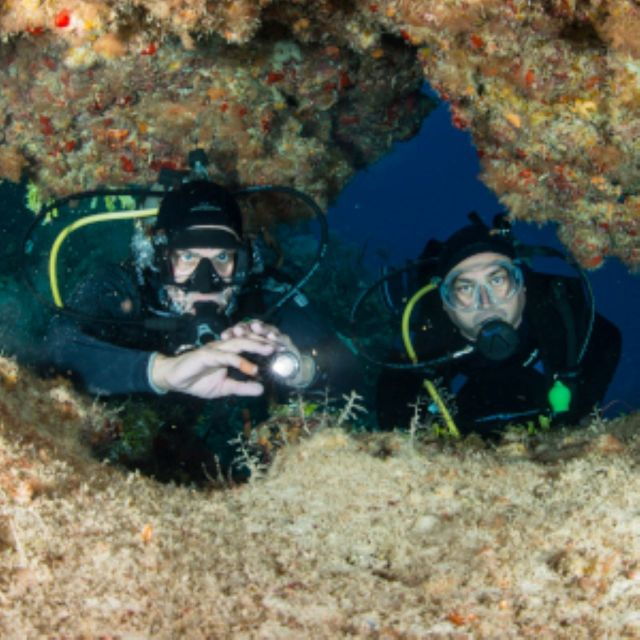 Mahahual: 1, 2 or 3 Tank Diving Experience - Booking Information