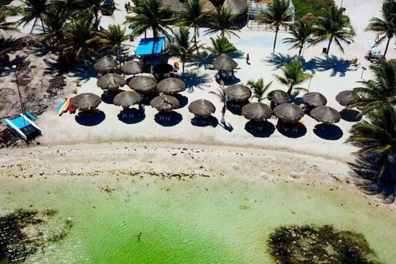 Mahahual: All-Inclusive Costa Maya Beach Break with Open Bar - Dive Into the Details: Is It Worth the Price?