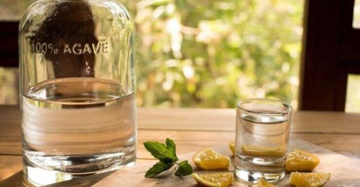 Mahahual: Authentic Mezcal & Tequila Tasting Experience - Experience