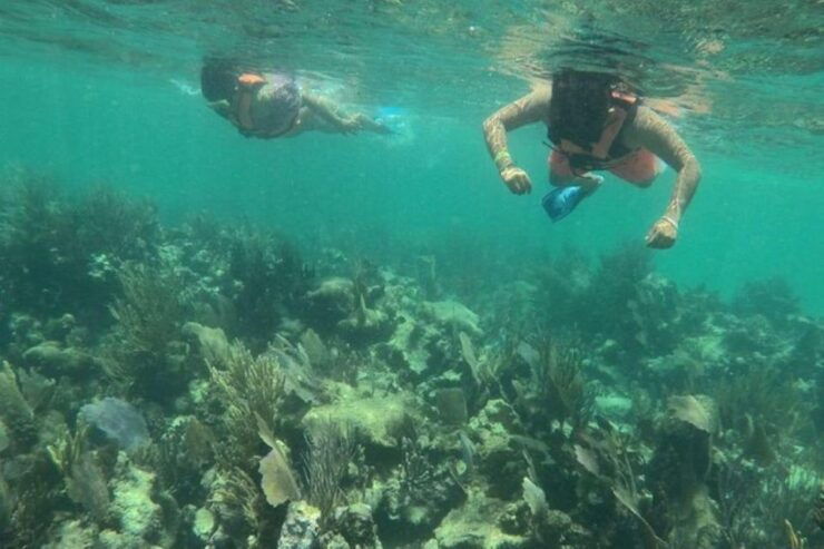 Mahahual: Costa Maya Snorkeling Adventure by Boat - Activity Details