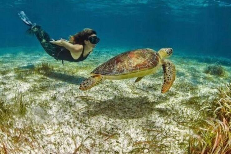 Mahahual: Costa Maya Snorkeling Adventure by Boat - Experience Highlights