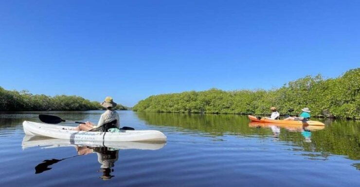 Mahahual: Kayaking in the Mangroves Experience - Booking Details