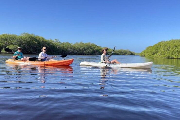 Mahahual: Kayaking in the Mangroves Experience - Experience Highlights