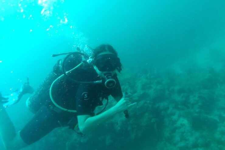 Mahahual: Marine Ecology Diving Experience - Experience Highlights