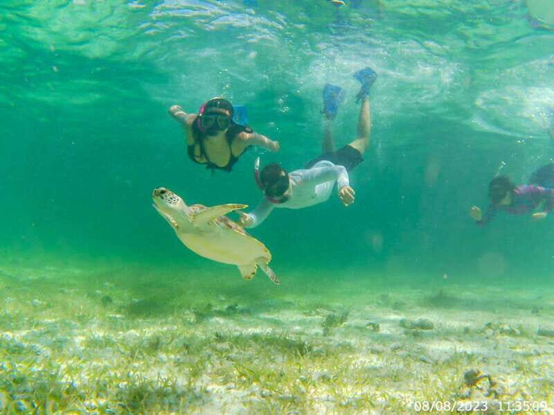 Mahahual: Snorkeling Boat Tour - What You Can Expect During the Snorkeling