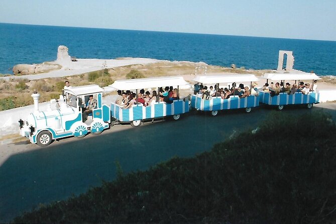 Mahdia Sightseeing Train Tour - Inclusions and Services