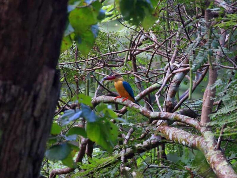 Mahiyanganaya: Sorabora Lake Sunset Birdwatching Tour - Value and Cost Considerations