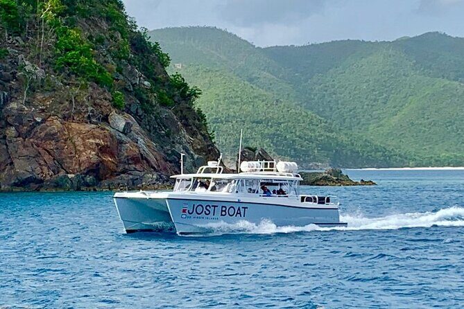 Maho Bay Turtle Snorkel with Lunch and Bar at Frenchman's Reef - The Sum Up