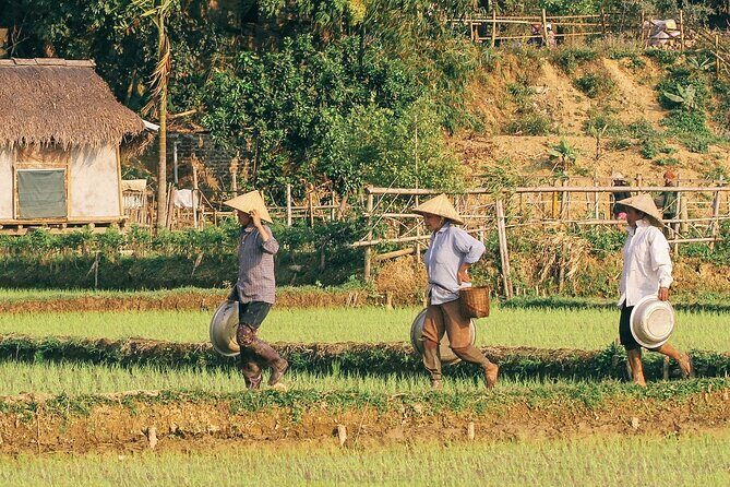 Mai Chau 1 Day: Cycle Through Peaceful Villages, Scenic Valleys - Exploring the Itinerary in Detail