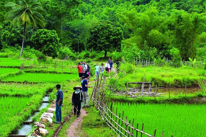 Mai Chau 1 Day Tour ! - The Sum Up