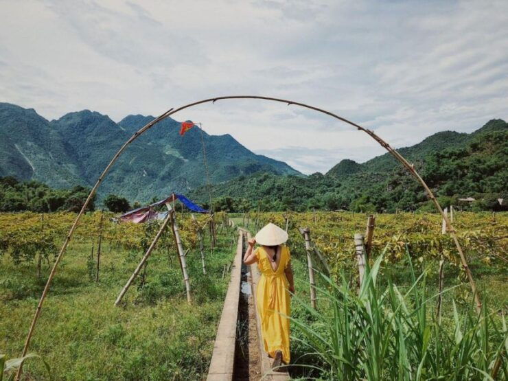 Mai Chau 2 Days 1 Night From Hanoi - Activity Highlights
