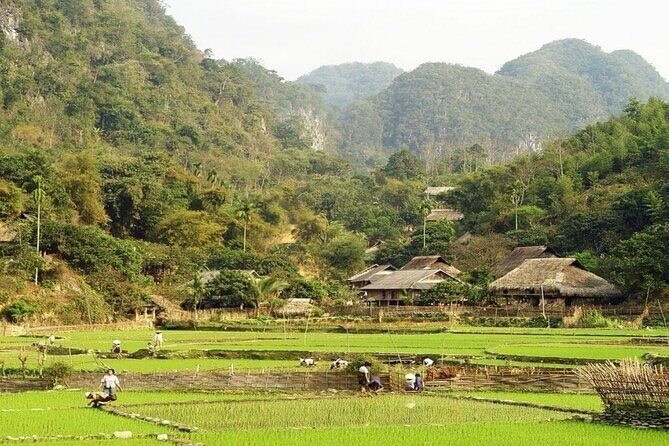 Mai Chau 2 Days Group Tour - Transport, Comfort, and Value