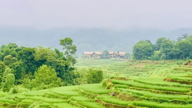 Mai Chau: 2 Days Trekking Tours, Stay at Private Bungalow - Tour Details and Duration