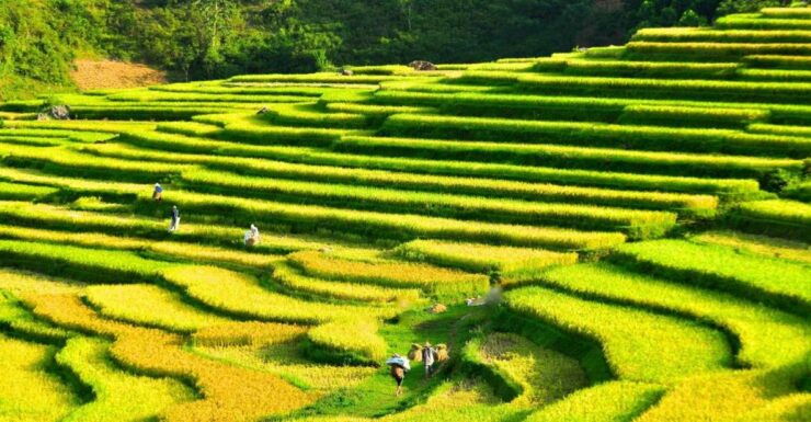 Mai Chau Biking Tour - Tour Overview