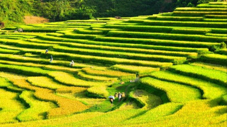 Mai Chau Biking Tour - Booking Information