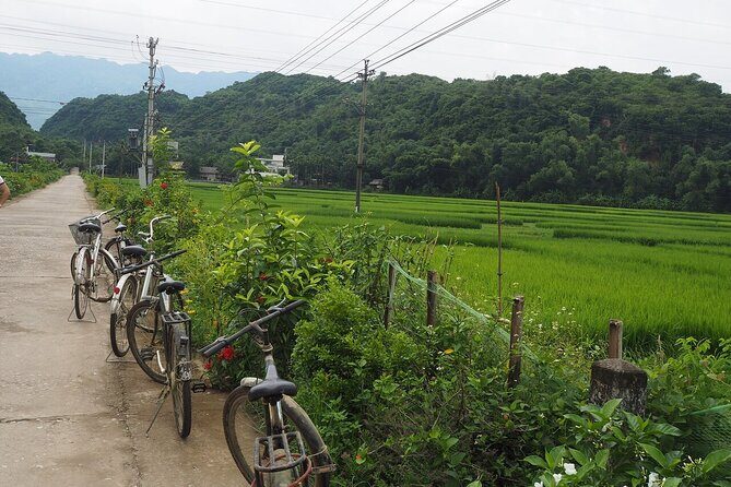 Mai Chau Deluxe Day Tour: Limousine, Small Group, Lunch & Biking - FAQ